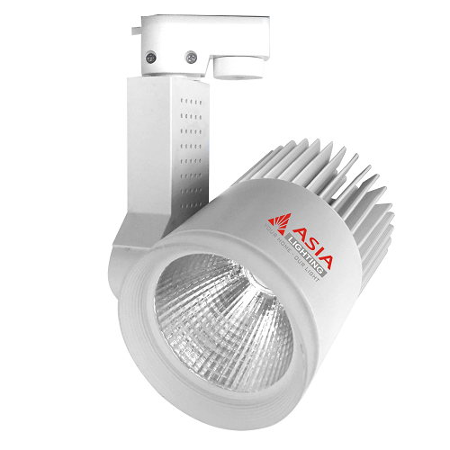 ĐÈN LED RỌI RT10W - 03- 1 MÀU